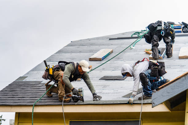 Professional Roofing technician working in Thompsonville, PA